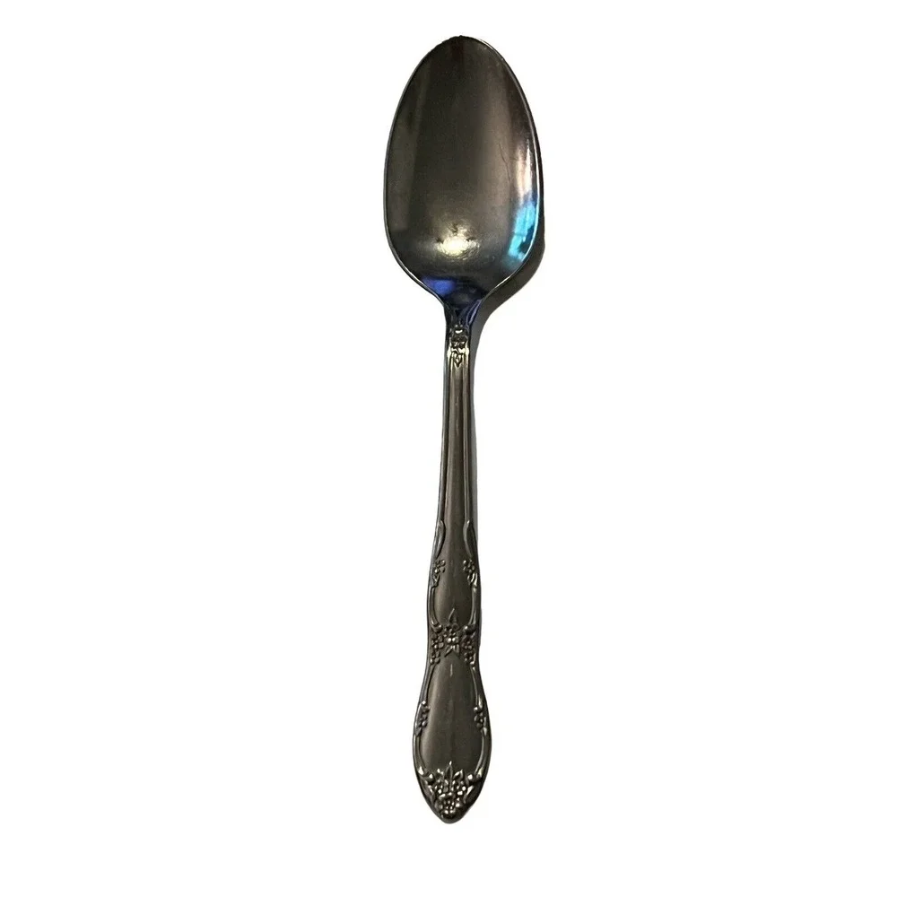 Wm A Rogers‎ Oneida Ltd FENWAY Stainless Day Dream Individual Teaspoon VGC!